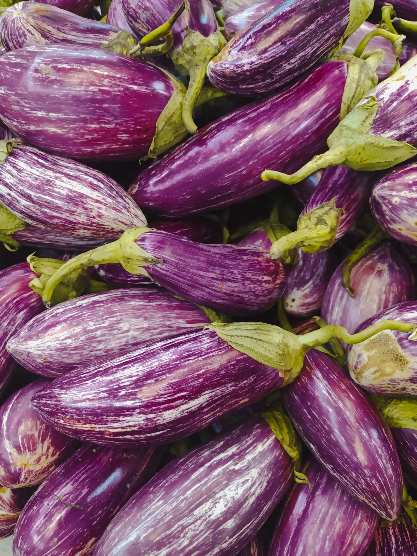 Aubergine (Kg)