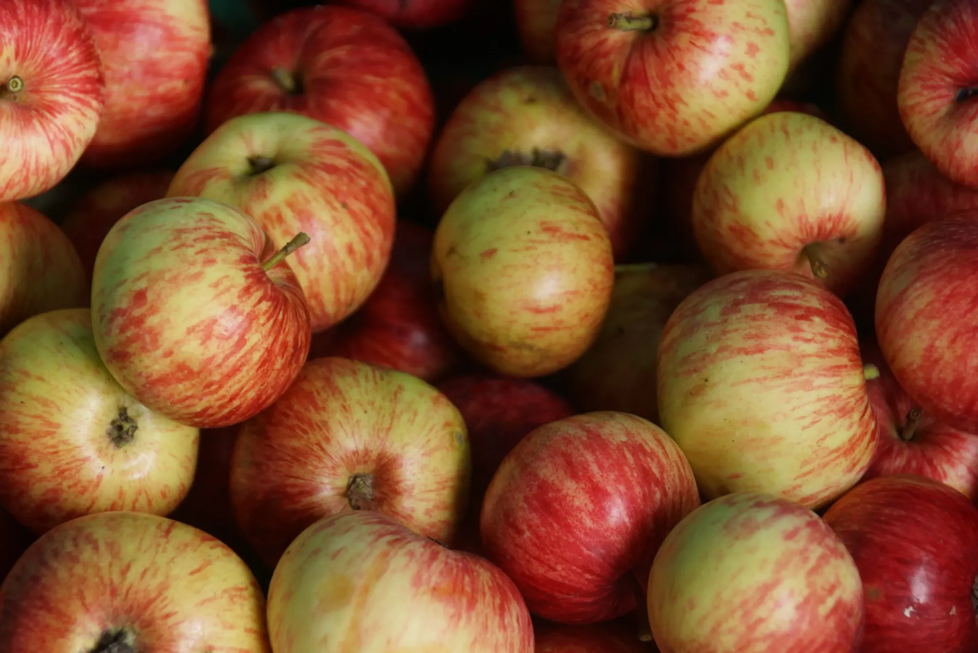 Pommes (Kg)